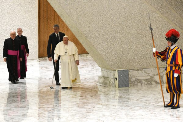 udienza-papale-di-confartigianato_53520720194_o